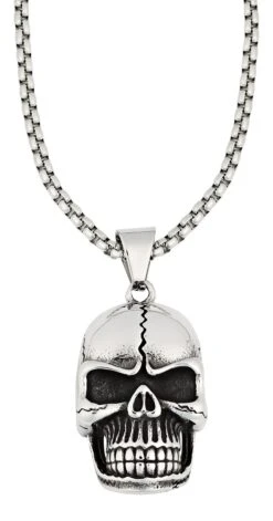 Zippo Skull Pendant Necklace -Zippo 2006290 02